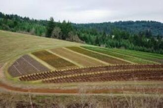 Les terres collectives: une mine peu exploitée et un potentiel énorme