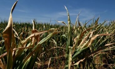 Le monde rural est confronté à la pire sécheresse des trente dernières années