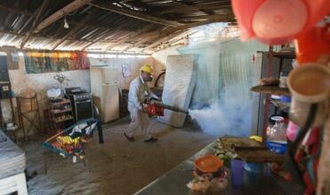 Virus Zika: un cas de transmission par voie sexuelle au Texas