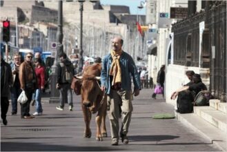 &ldquo;La vache&rdquo;: une comédie touchante et intelligente