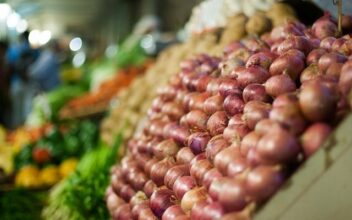 Oignons, les raisons d'une flambée des prix