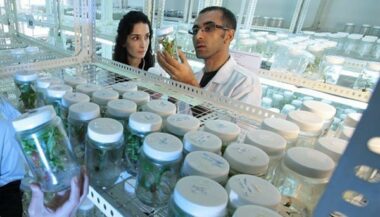 Lancement prochain d'une appli dédiée au cycle du doctorat au Maroc
