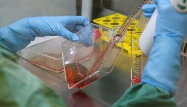 Santé: présentation des résultats de l’évaluation des capacités nationales requises par Le RSI