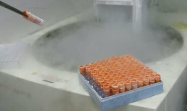 Sciences: Projet pour créer un génome humain synthétique