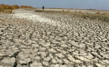 Records de températures, gaz à effet de serre et montée des eaux en 2015