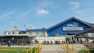 Sucre: naissance d'un des plus gros exportateurs du monde