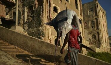 Pêche d'espadon en Méditerranée: Un quota de 14% pour le Maroc