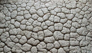 L'Europe confrontée à sa pire sécheresse depuis 500 ans