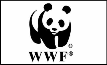 WWF: &ldquo;A Marrakech, l'Accord de Paris a passé son premier test de résistance&rdquo;
