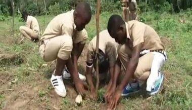 Etude. Les jeunes Africains considèrent que les changements climatiques impactent négativement leur vie