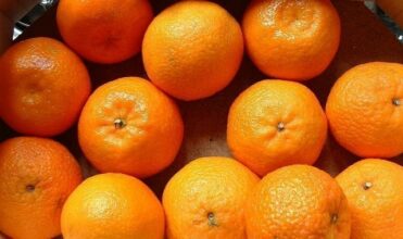 Les exportations d'agrumes progressent, malgré les aléas climatiques