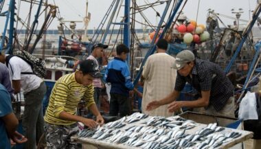 Les débarquements de la pêche en hausse à fin novembre