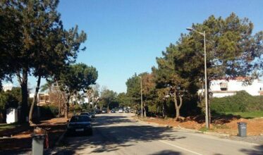 Rabat: Un sit-in pour protester contre le déracinement des arbres à Hay Riad