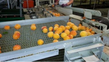 Le Maroc va créer une plate-forme régionale de commercialisation des produits agricoles en Côte d’Ivoire