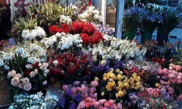 Casablanca : 2,85 MDH pour un nouveau marché de fleurs à Maarif