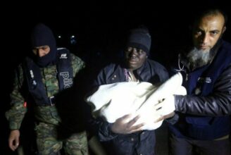 Maroc: 18 migrants franchissent la clôture de Melilia