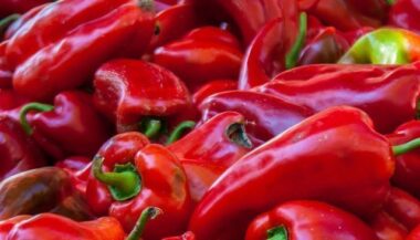 Plus de 24.000 t de piments rouges produites dans la région de Beni Mellal-Kenifra