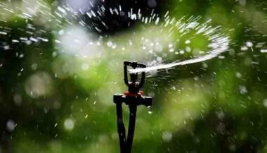 Oujda: Plus de 200 MDH pour un projet d’irrigation en eaux usées traitées