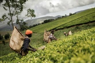 La Banque mondiale reprend son aide budgétaire au Malawi