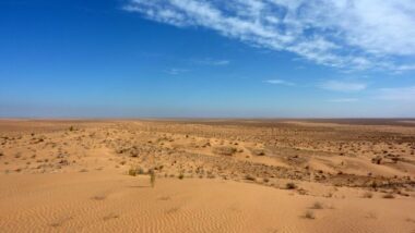 &ldquo;Sahara: le temps est venu pour les peuples de dire à leurs dirigeants ça suffit!&rdquo; (ex-ministre algérien)