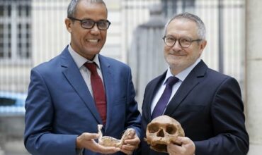 Homo sapiens: le plus vieux spécimen connu s'avère marocain, une découverte majeure