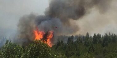 Images. Un immense incendie ravage la forêt Mediouna à Tanger