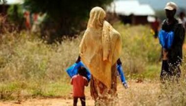 L'Ethiopie veut devenir une &ldquo;nation sans paludisme&rdquo; d'ici 2030