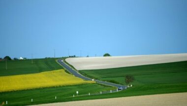 Alimentation: vers une consommation réduite de céréales, viandes et huiles