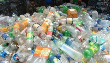 Des milliards de tonnes de plastiques s'accumulent dans la nature
