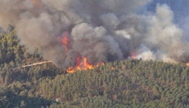 Vidéo. Une forêt ravagée par un incendie à Taounate