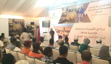 Missour accueille la deuxième rencontre sur l’élevage des petits ruminants