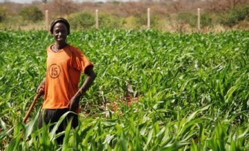Le Forum pour la révolution verte en Afrique, en septembre prochain à Abidjan