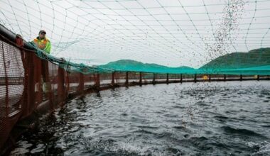 Les océans pourraient accueillir des millions de km2 d'aquaculture