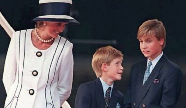 Pour perpétuer la mémoire de Diana, ses fils se dévoilent