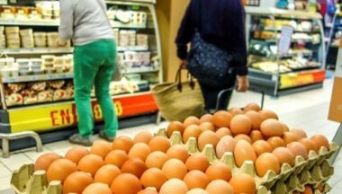 Oeufs contaminés en France: la liste des produits bientôt publique