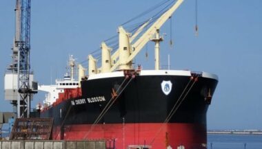 Commerce maritime international: la piraterie politique n’y a pas sa place