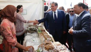 A l'horizon 2020, la culture du figuier devra atteindre 69.000 ha de plantations