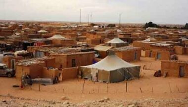 Le gouvernement des Iles Canaries interpellé au sujet des crimes du polisario