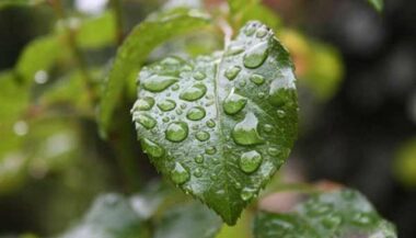 Météo: retour des pluies à partir du vendredi 3 novembre