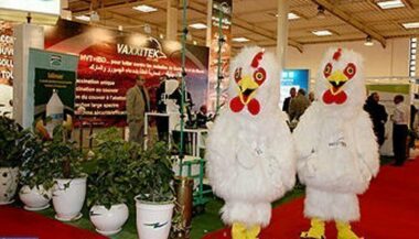 Le salon avicole &ldquo;Dawajine 2017&rdquo;, du 28 au 30 novembre à Casablanca