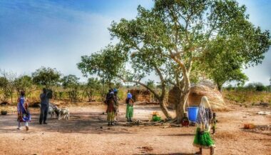 FAO: 224 millions de personnes sous-alimentées en Afrique