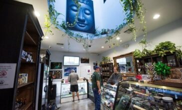Avec la légalisation de la marijuana, ruée vers l'or vert en Californie
