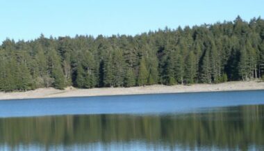 Déboisement au Moyen Atlas: 735 arbres coupés en 2017 contre 1.158 en 2015