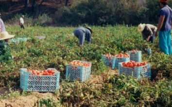 Rapport. Un taux de croissance de 3,5% en Afrique en 2018