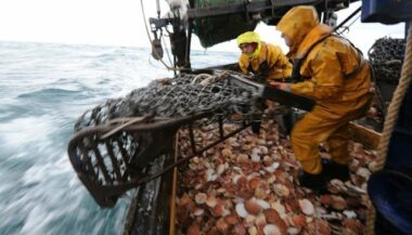 Etude. La surface de la planète concernée par la pêche est 4 fois plus importante que la surface cultivée