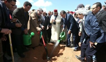 Le programme d'arganiculture met le cap sur Tiznit