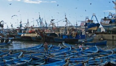 Le Conseil de gouvernement adopte un projet de décret sur la pêche maritime