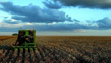 Energie: voici le potentiel de la biomasse au Maroc