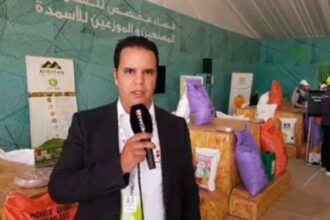 OCP: &ldquo;Al Moutmir&rdquo; achève sa 2e phase consacrée aux cultures maraichères