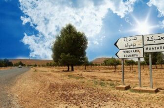 Gaz : l’exploration dans les permis Tendrara et Anoual est toujours à l’arrêt